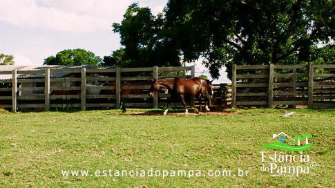 INICIO INICIO.00_03_15_22.Quadro034_227ade89aa9ffb814c7cb335f9a3112ec1ecd463.jpg